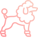Spays and neuters icon with a cat standing next to a dog