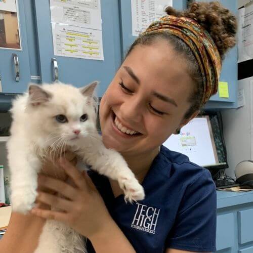 Jariel, Practice Manager, Client Services, and Veterinary Technician at Love Animal Hospital in Clearwater, Florida