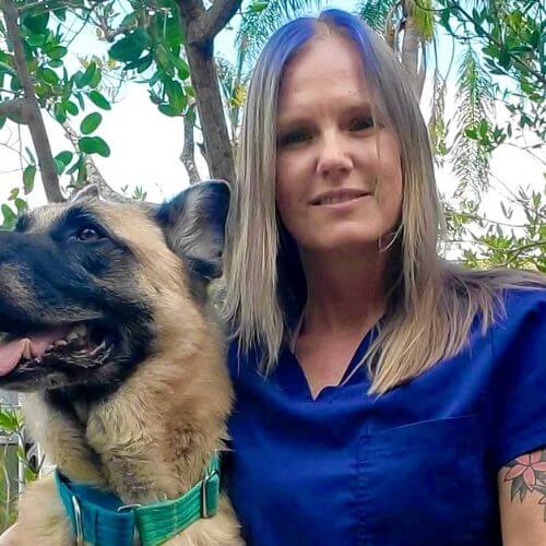 Liz, Client Services, Registered Veterinary Technician at Love Animal Hospital in Clearwater, Florida