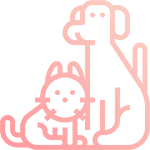 Spays and neuters icon with a cat standing next to a dog