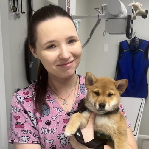 Lexi, Veterinary Technician at Love Animal Hospital in Clearwater, Florida