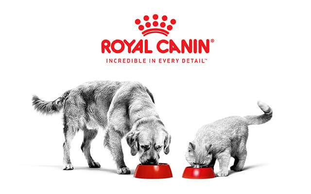 Royal Canin logo with two dogs eating from red bowls